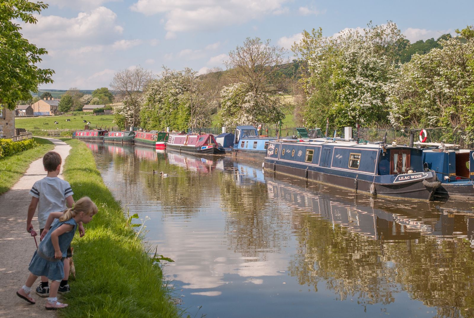 Leeds-Liverpool Canal at Micklethwaite, UK